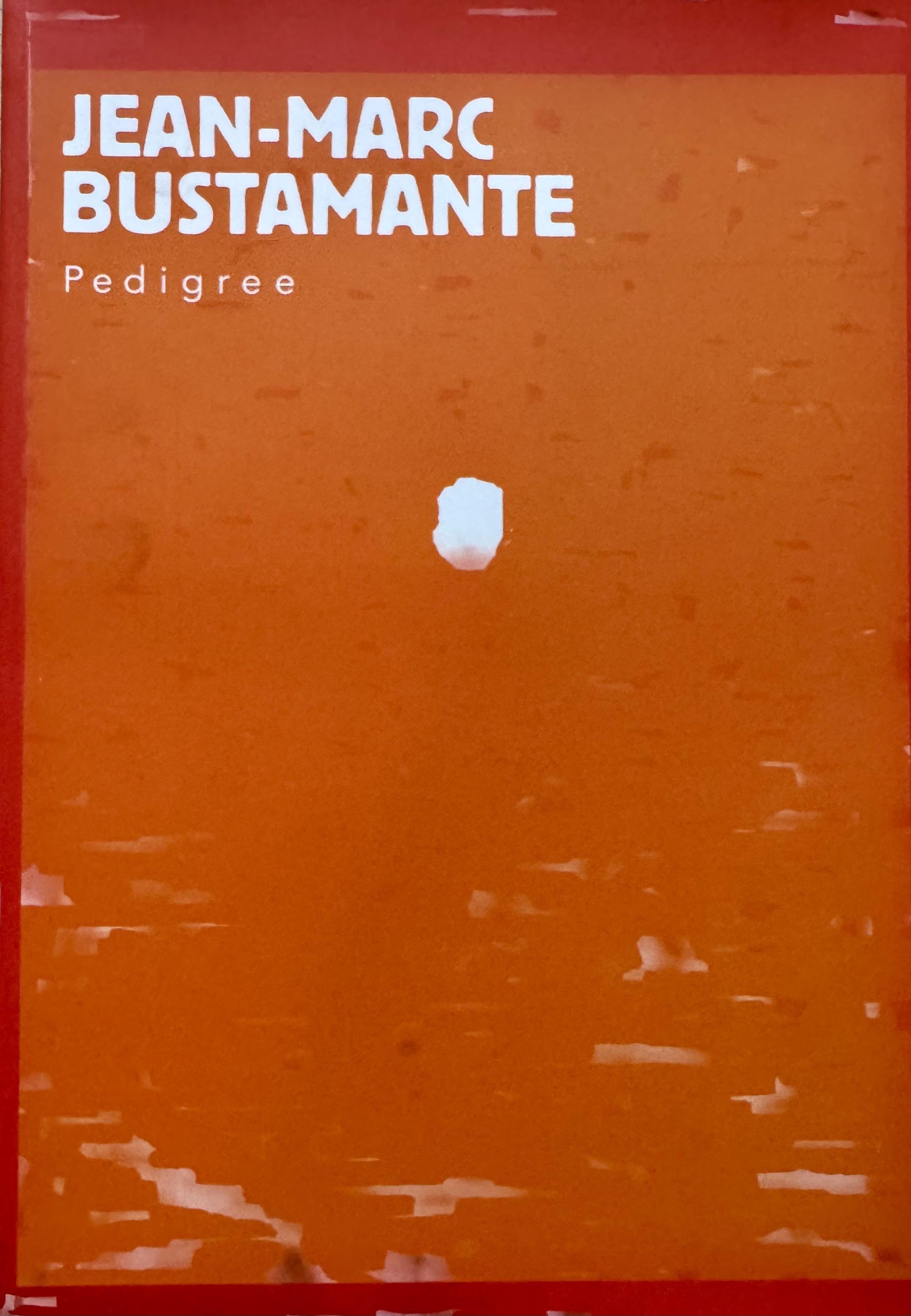 Bustamante — catalogue d'exposition