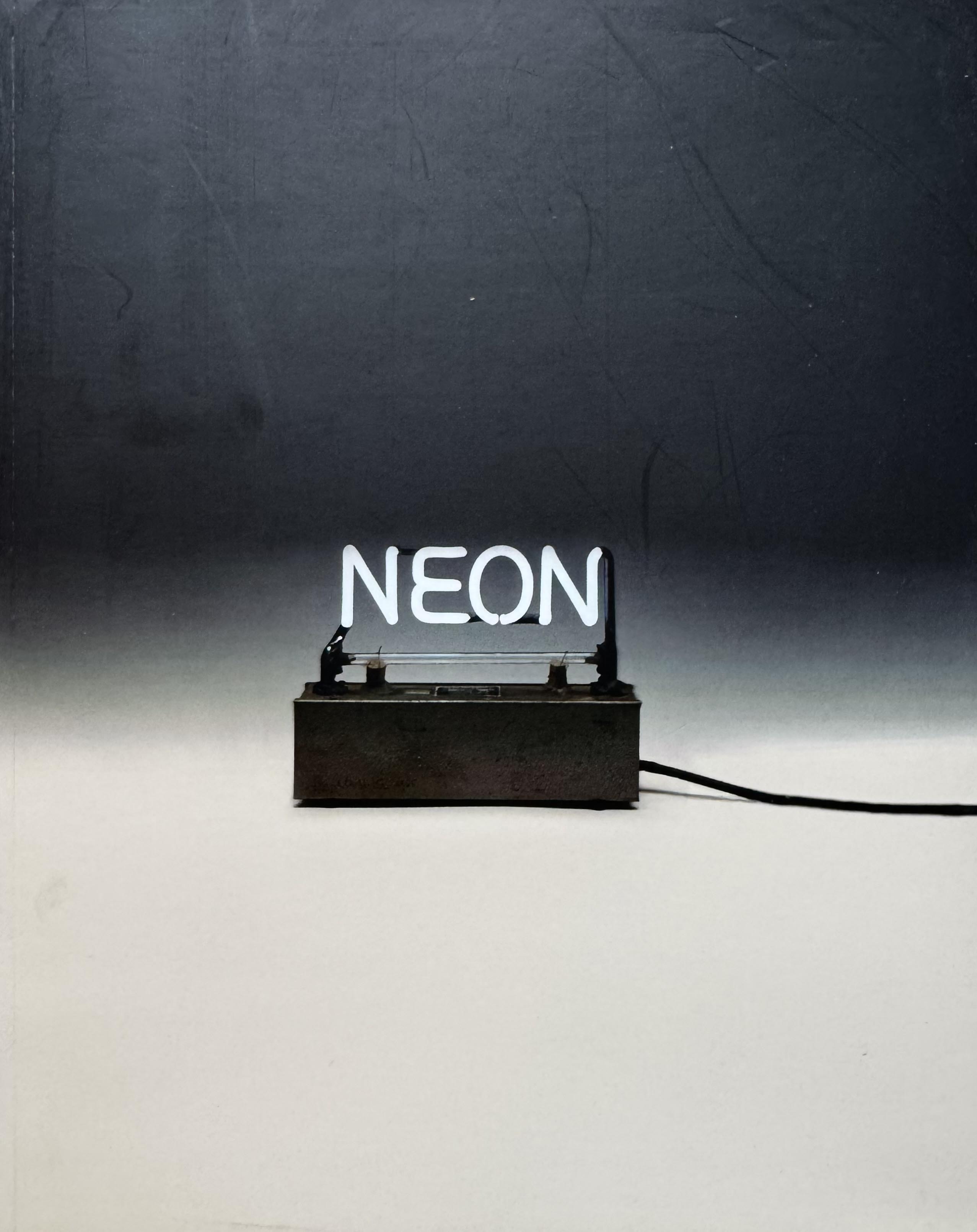 Néon — exposition à la Maison Rouge