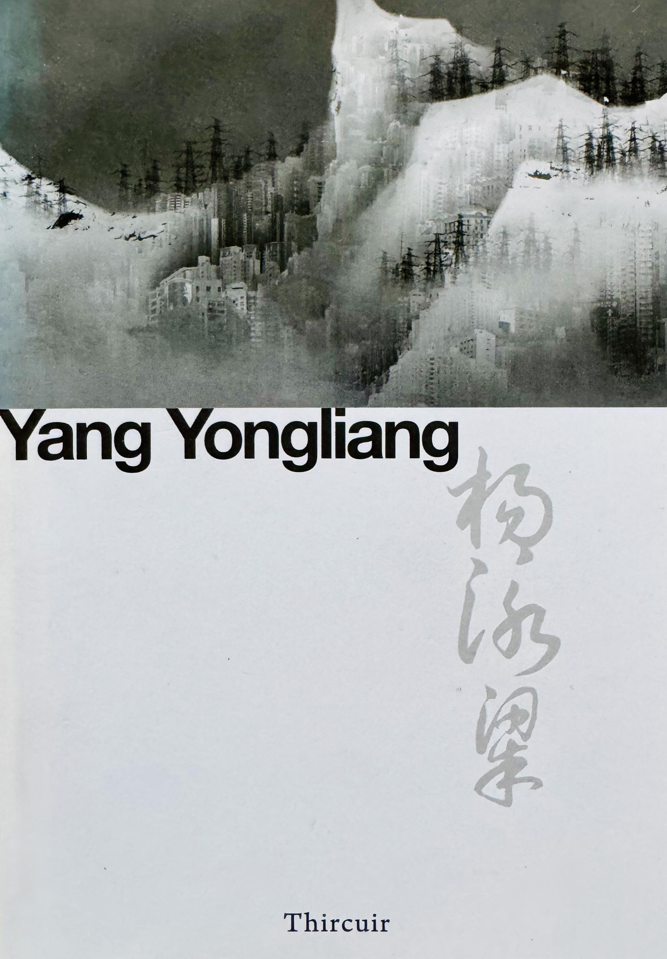 Yang Yongliang — catalogue d'exposition