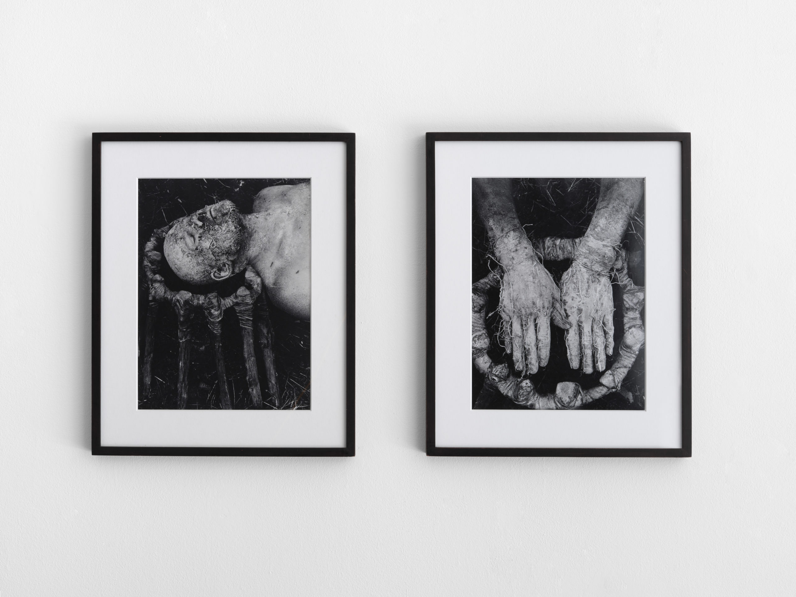 Appelt — exposition