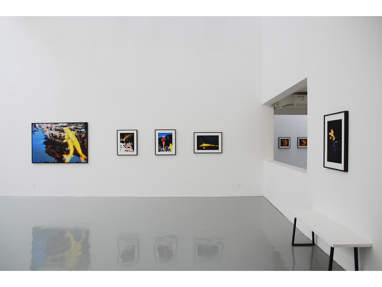 Li — exposition