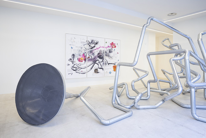 Piccolo — exposition